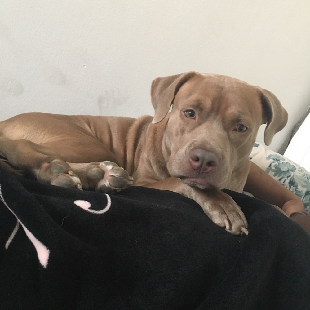 Meet your Posher, Shelisa